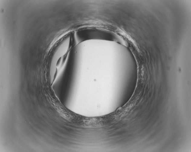 X0000085831352200704091647