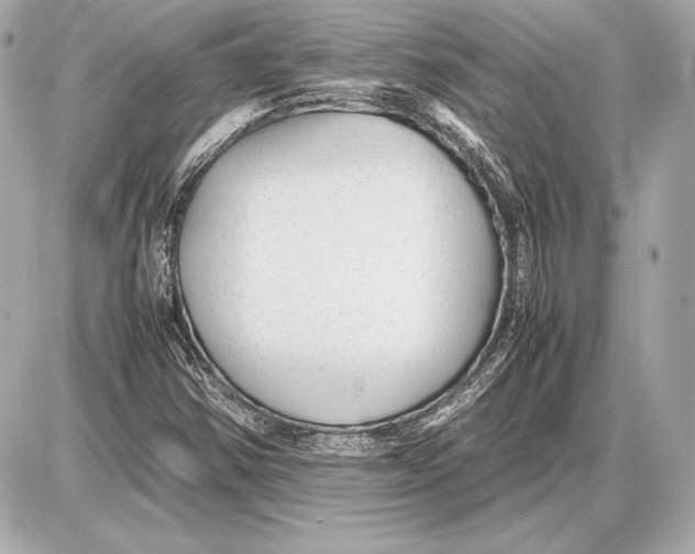 X0000085831354200704091647