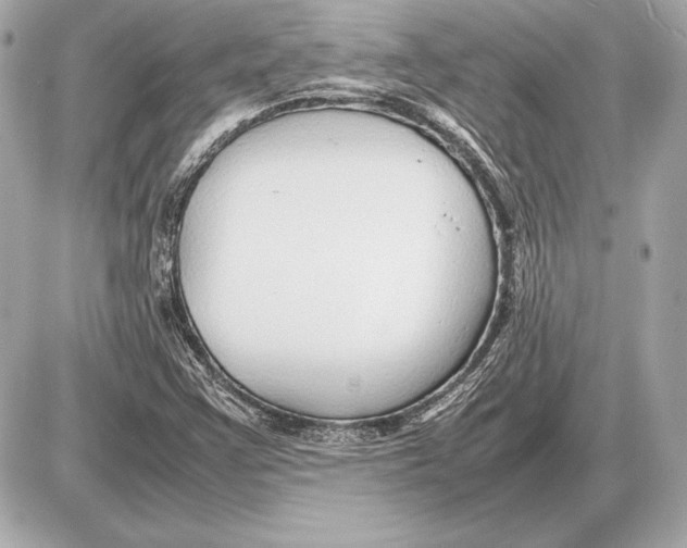 X0000085831355200704091647