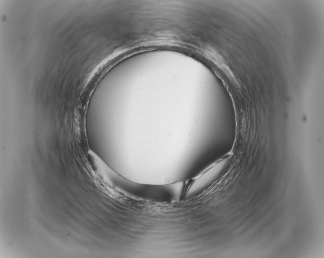 X0000085831356200704091647