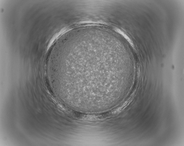 X0000085831357200704091647