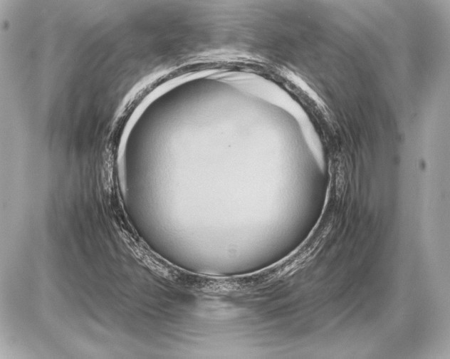 X0000085831358200704091647