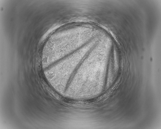 X0000085831359200704091647