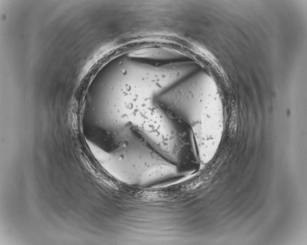 X0000085831360200704091647