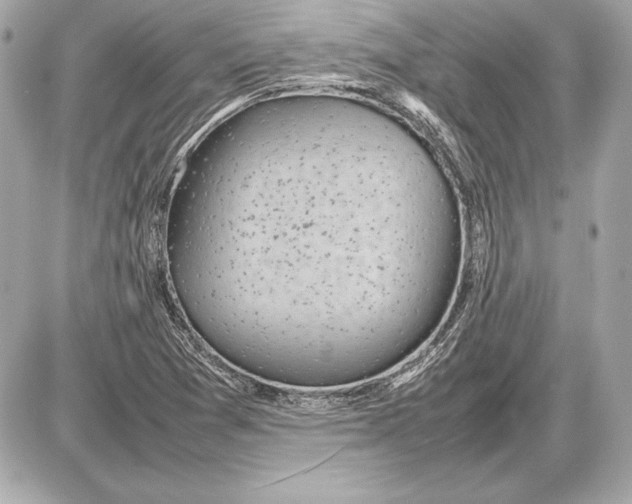 X0000085831361200704091647