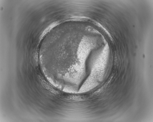 X0000085831362200704091647