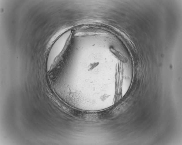 X0000085831363200704091647