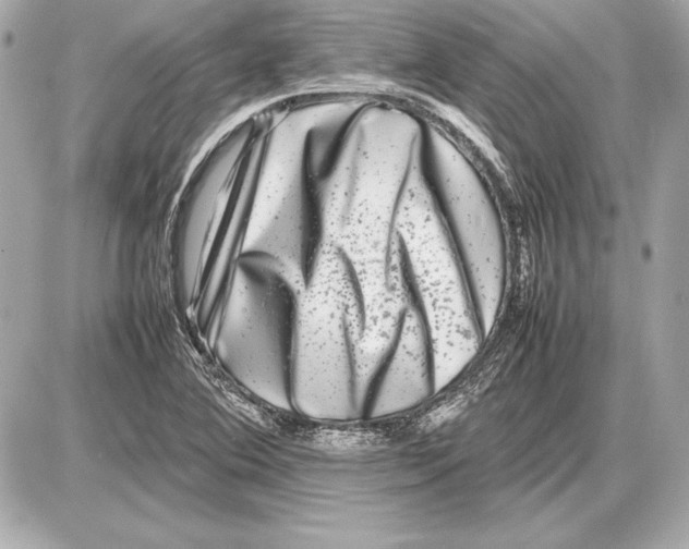 X0000085831364200704091647