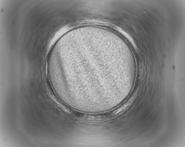 X0000085831365200704091647