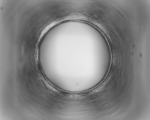 X0000085831366200704091647