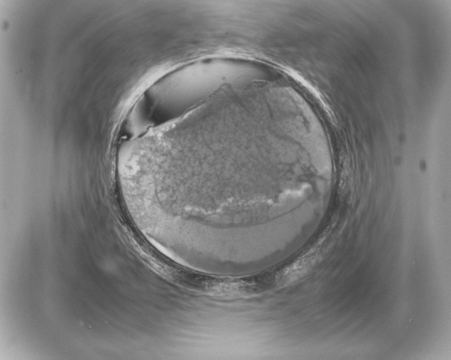 X0000085831367200704091647