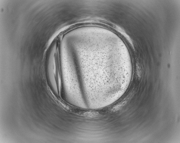 X0000085831368200704091647