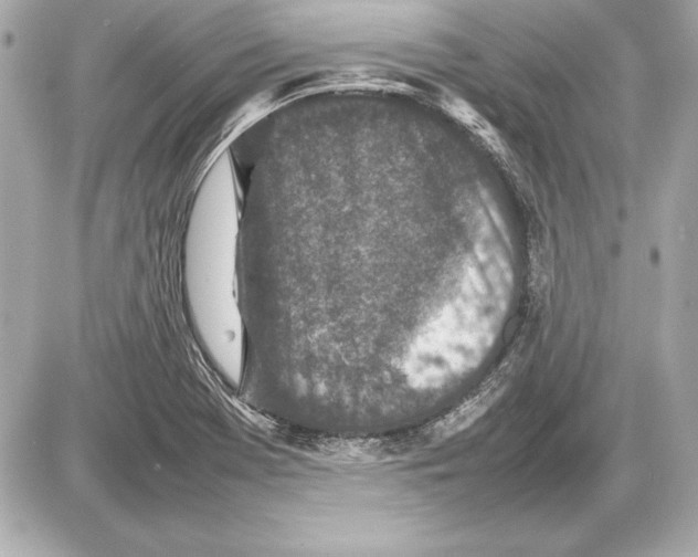 X0000085831369200704091647