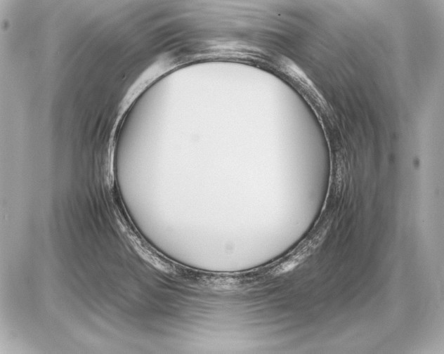 X0000085831370200704091647