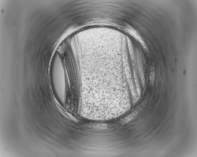 X0000085831372200704091647