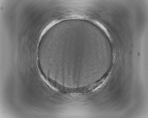 X0000085831373200704091647