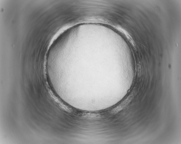 X0000085831374200704091647