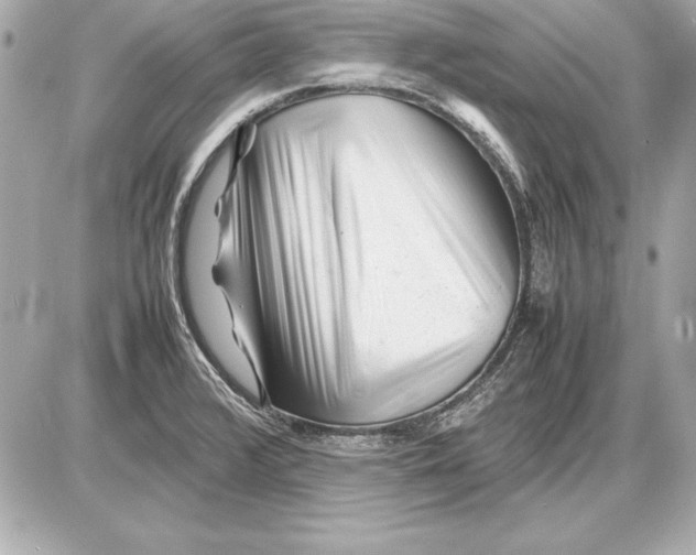 X0000085831376200704091647