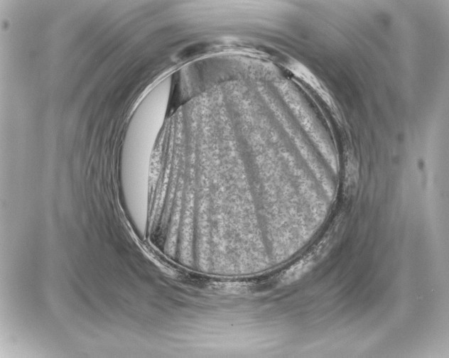 X0000085831377200704091647