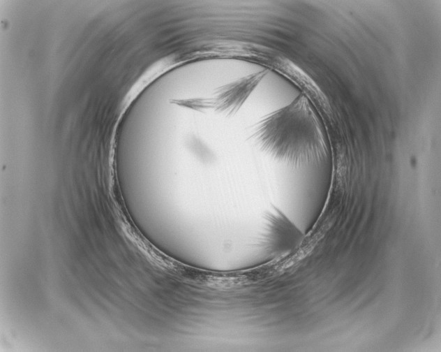 X0000085831378200704091647