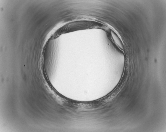 X0000085831379200704091647