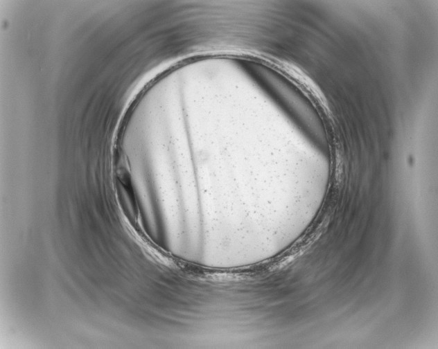 X0000085831380200704091647