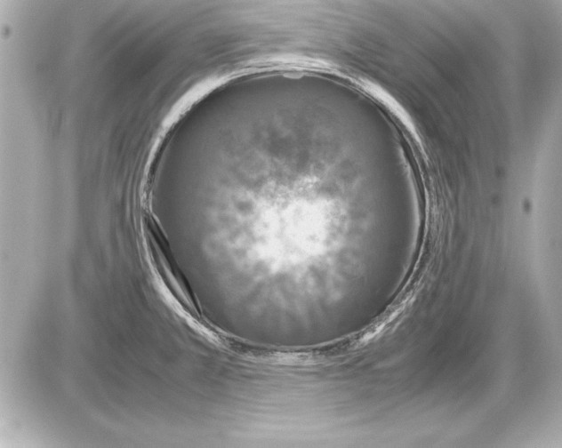 X0000085831381200704091647