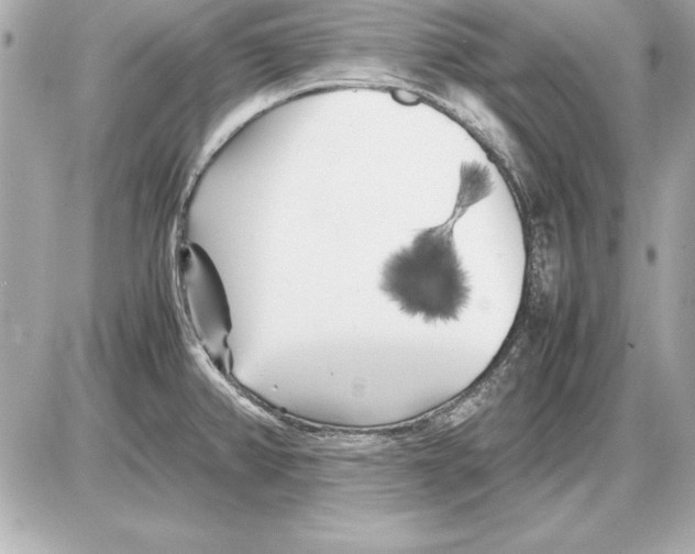 X0000085831382200704091647