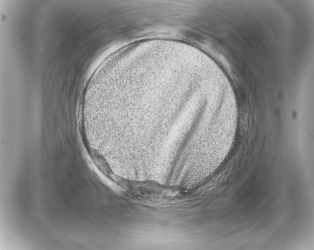 X0000085831383200704091647