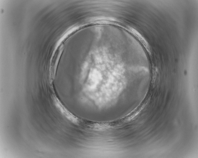 X0000085831384200704091647