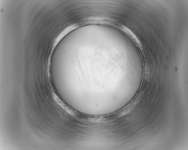 X0000085831386200704091647