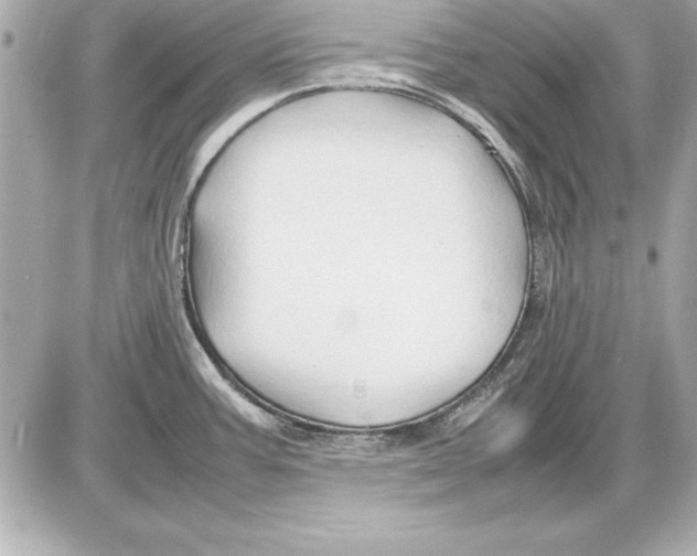 X0000085831387200704091647