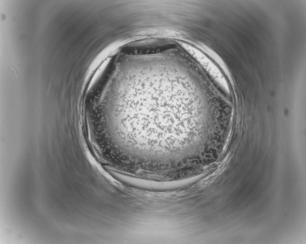 X0000085831389200704091647