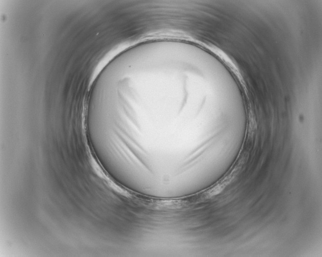 X0000085831390200704091647