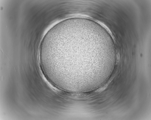 X0000085831391200704091646