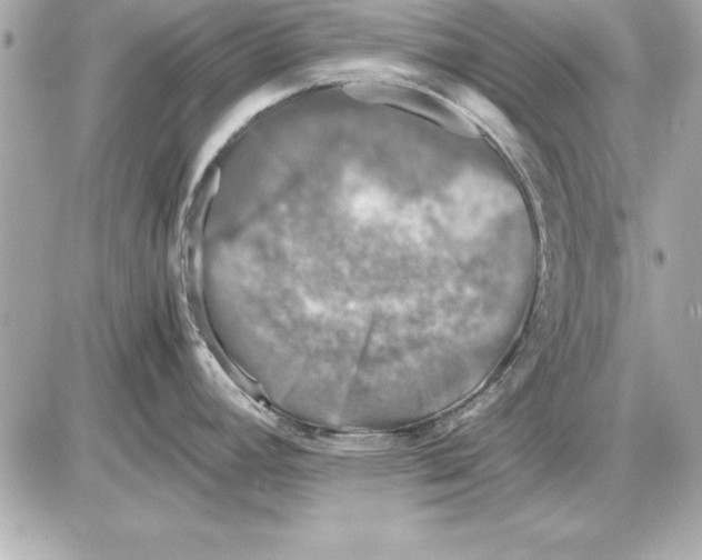 X0000085831392200704091646