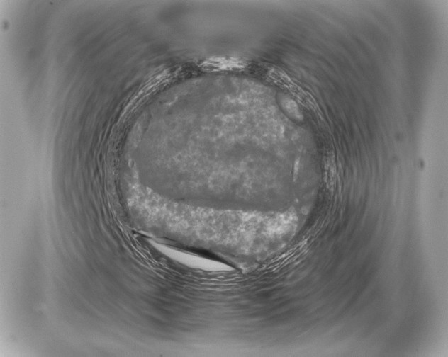 X0000085831393200704091646