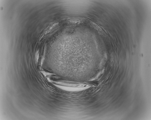 X0000085831394200704091646