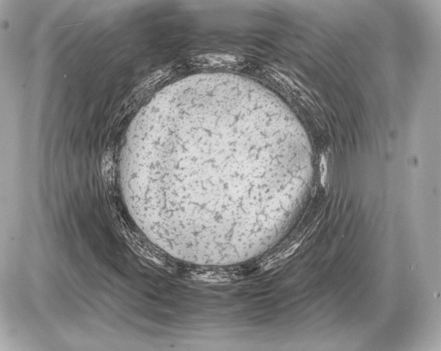 X0000085831395200704091646