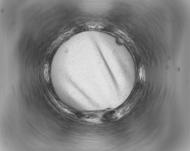 X0000085831396200704091646