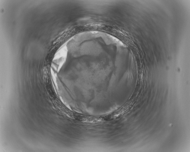 X0000085831397200704091646