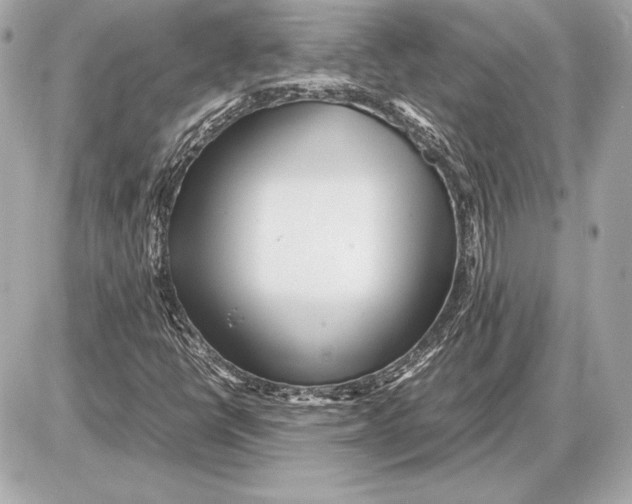 X0000085831398200704091646