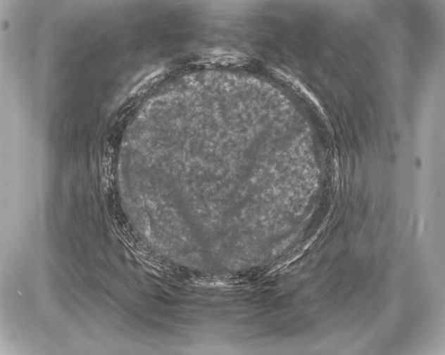 X0000085831399200704091646