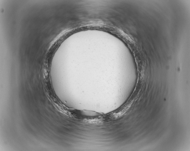 X0000085831400200704091646