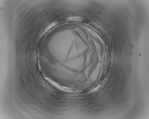 X0000085831401200704091646