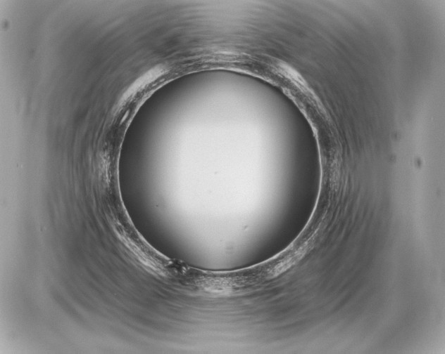 X0000085831402200704091646