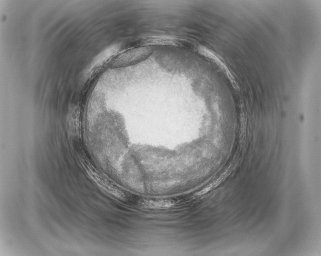 X0000085831403200704091646