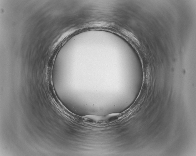 X0000085831404200704091646