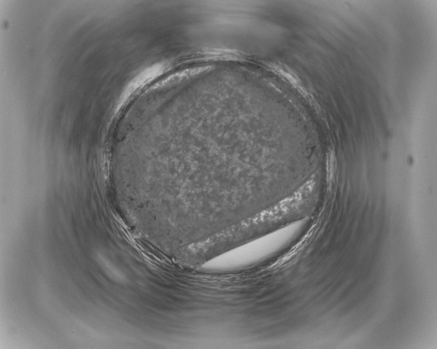 X0000085831405200704091646