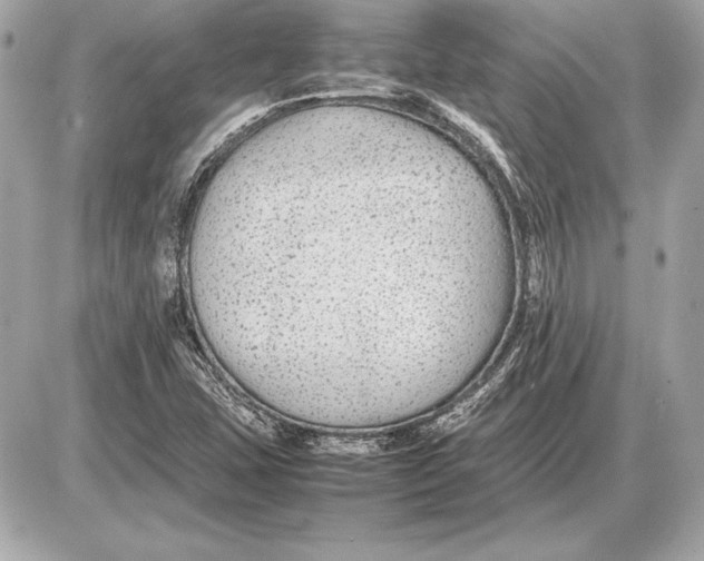 X0000085831407200704091646